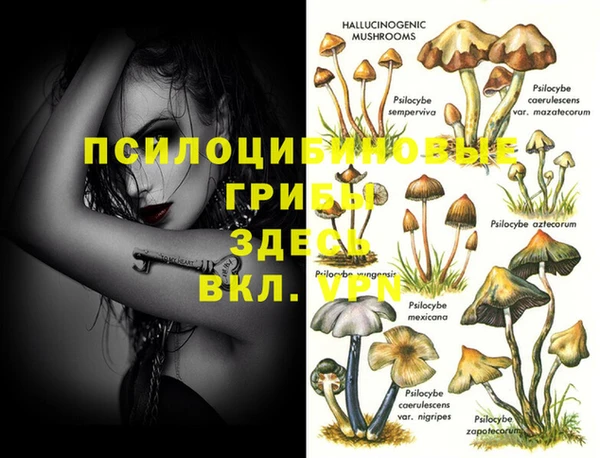 каннабис Барнаул