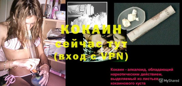 PSILOCYBIN Краснотурьинск